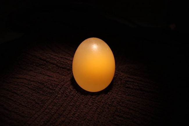 เอาไข่ไปแช่น้ำส้มสายชู เกิดผลลัพธ์สุดเหลือเชื่อ 