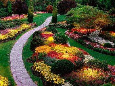สวนดอกไม้สวยๆ ที่ CANADA