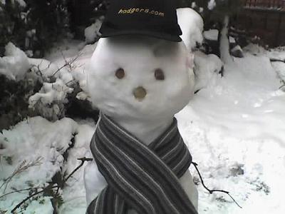 ถ้าคุณเบื่อ..Snowman แบบเดิมๆ..!!