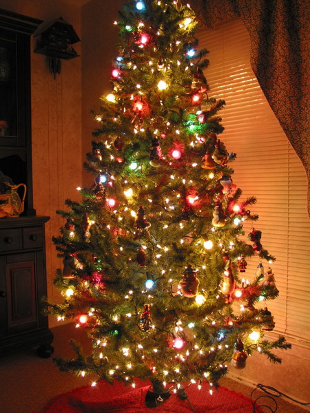 Christmas Tree สวยดีจัง!!