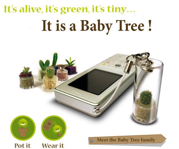 Baby Tree