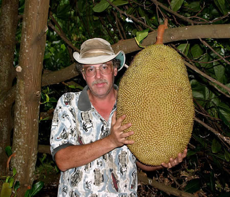 World’s Heaviest Jackfruit (76 Lbs or 34.4 Kg)