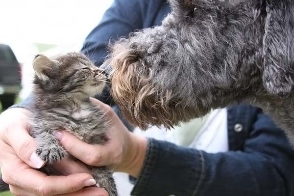 Tenderness ..อบอวลไปด้วยรัก..!!!