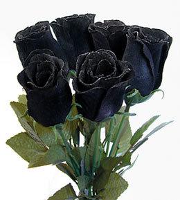 Immortal Black Roses