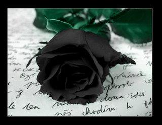 Immortal Black Roses