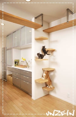 Cat-Friendly House Design