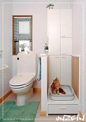 Cat-Friendly House Design