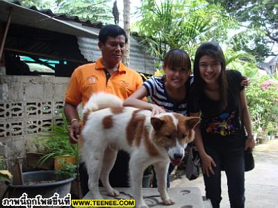 รายการชุมชนต้นแบบ ตอน อนุรักษ์สุนัขไทยบางแก้ว พิษณุโลก