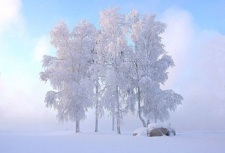 Beautiful Winter 1