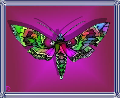 ~Fantasy Butterfly~