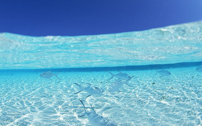 The sea be transparent (Very Beautiful)