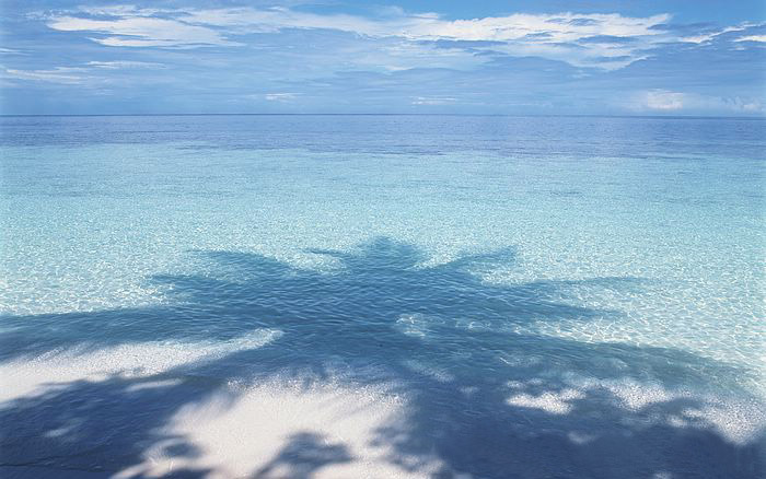 The sea be transparent (Very Beautiful)