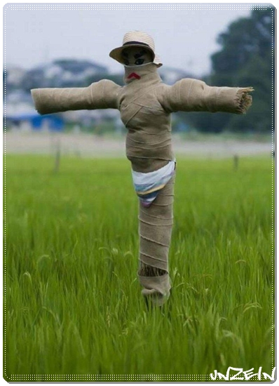 Funny Scarecrows (1)