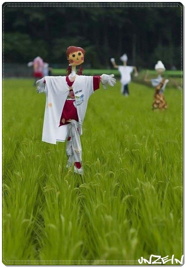 Funny Scarecrows (1)