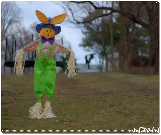 Funny Scarecrows (1)