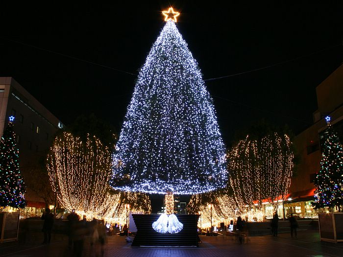 ต้นคริสต์มาสสวย ๆ ในยามค่ำคืน!! (2)