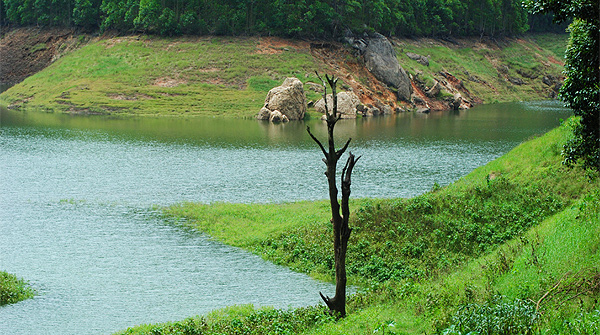 Munnar, Kerala