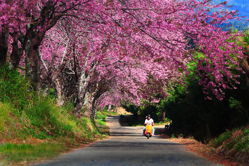 This is Thailand สวยมากๆๆ