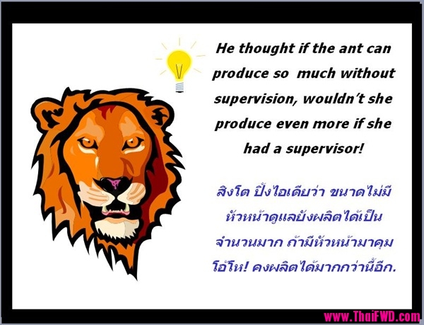 The Ant เรื่องของมด