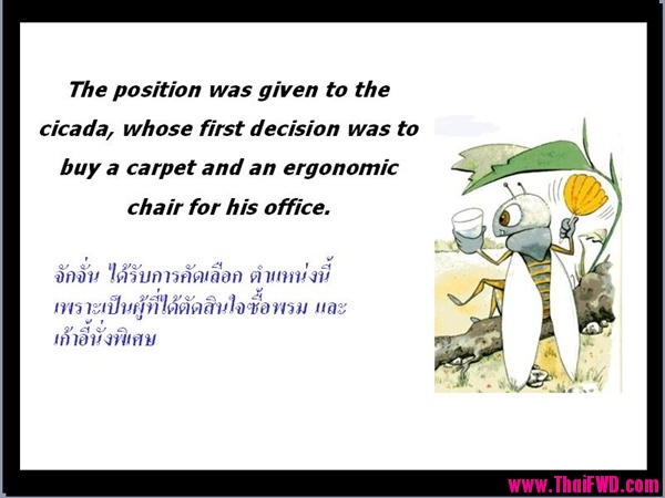 The Ant เรื่องของมด