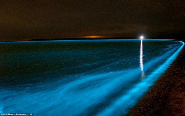 ทึ่ง ภาพทะเลสาบเรืองแสง ที่ออสเตรเลีย