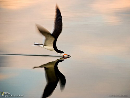 ภาพสวยๆจาก National Geographic