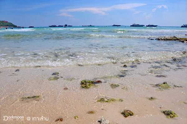 เกาะล้าน พัทยา สีสันแห่งทะเลอ่าวไทย