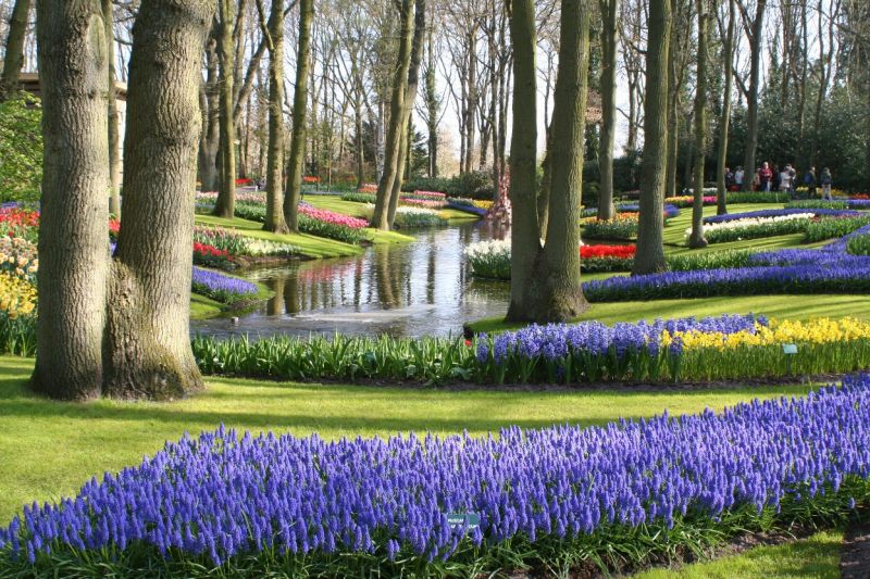 Keukenhof Garden Holland # 1