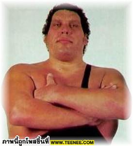 Andre the giant