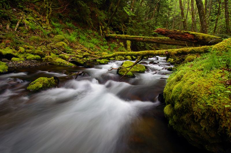 ธรรมชาติสวยๆ จาก Oregon