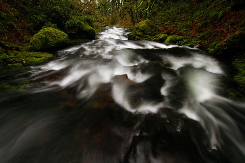 ธรรมชาติสวยๆ จาก Oregon