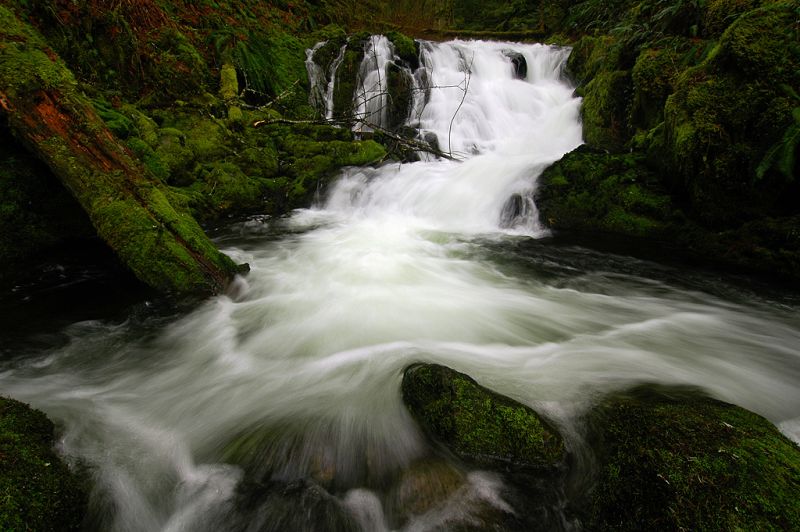 ธรรมชาติสวยๆ จาก Oregon