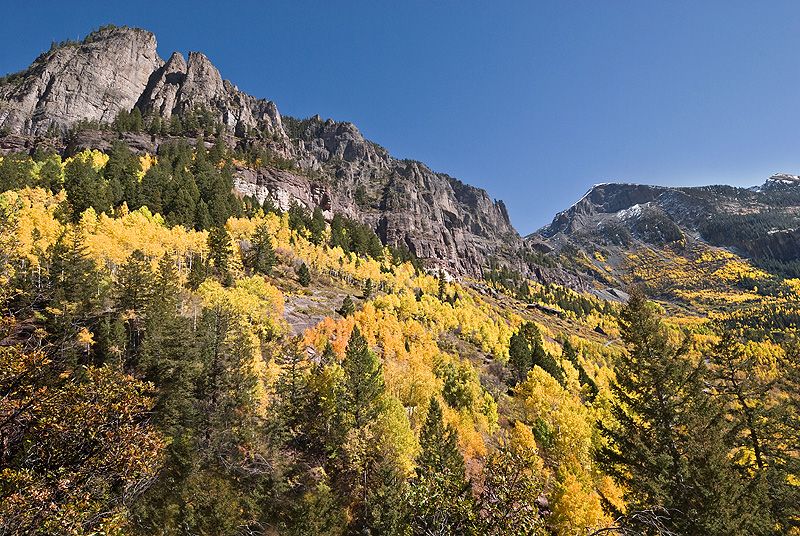 ใบไม้เปลี่ยนสีที่ Colorado