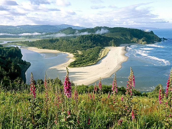 Cascade Head Oregon