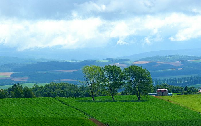 ~~Fields in The Country~~