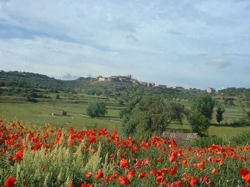 ~Red Fields~