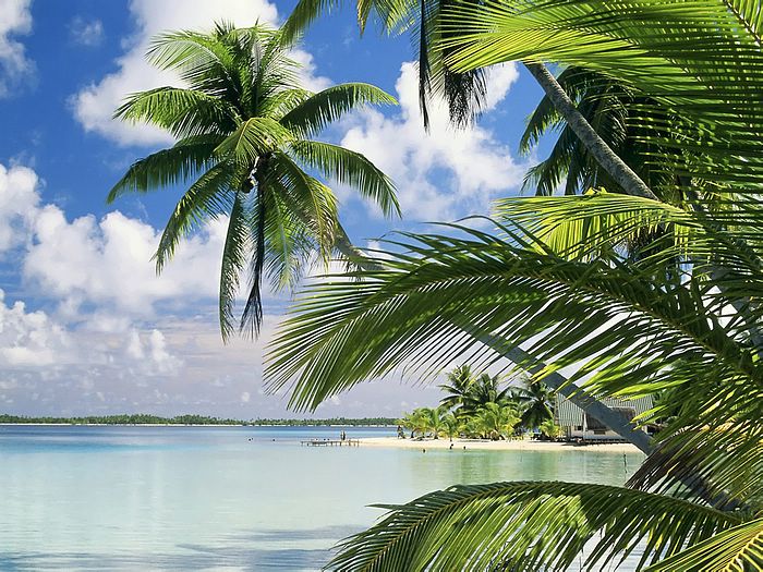 Takapoto Island French Polynesia