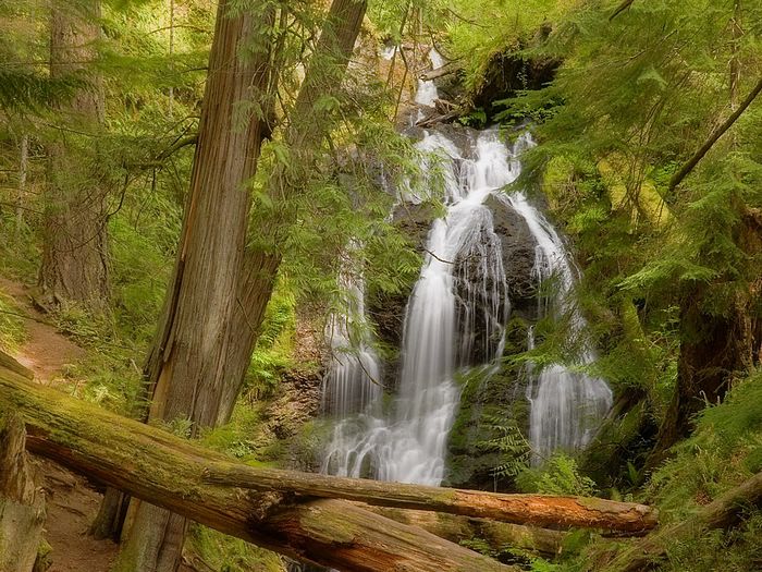 Cascade Falls Moran State Park Orcas Island Washington