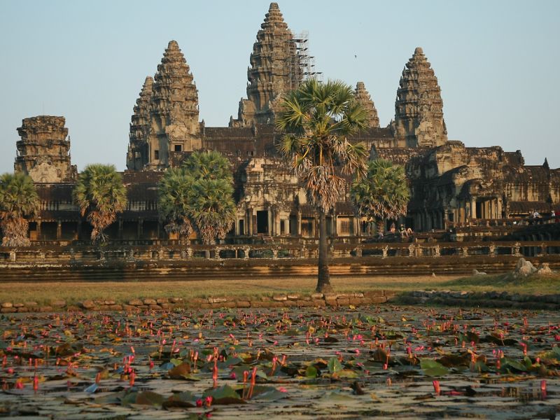 Angkor Wat With Lilies
