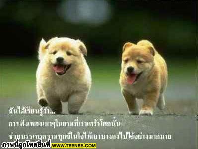 ..ลมความคิดถึง..