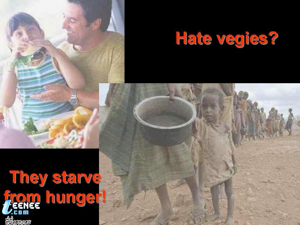 เกลียดการกินผักเหรอ แต่พวกเค้าหิวโหยไม่มีแม้แต่ผักจะกิน