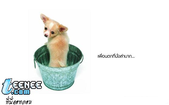 นิยามของของคำว่าเพื่อน2