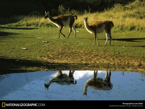 สุดยอดภาพ National Geographic (3)  