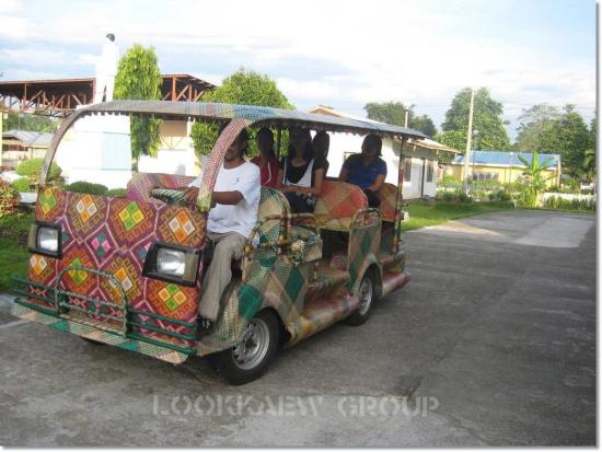 Bamboo Taxis in Philippines