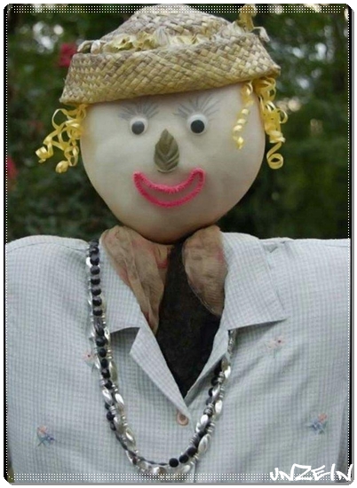 Funny Scarecrows (2)