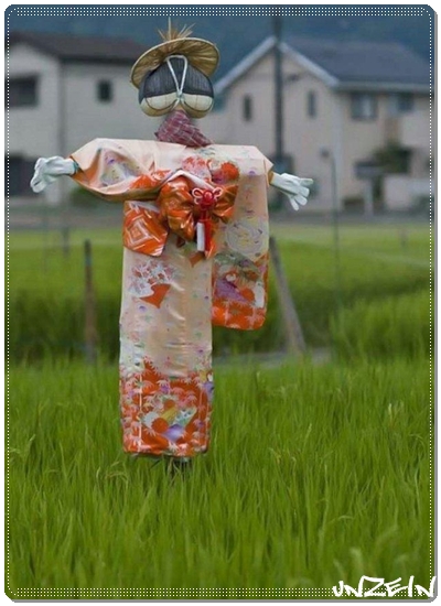 Funny Scarecrows (2)