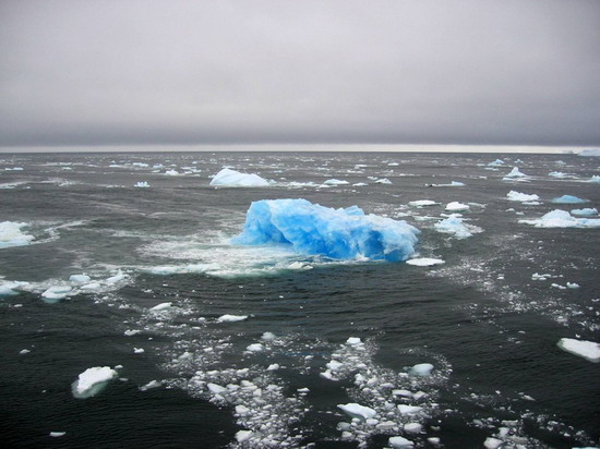 Antartica...(2)  