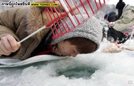 เทศกาลตกปลาใต้น้ำแข็งที่เกาหลีใต้!!