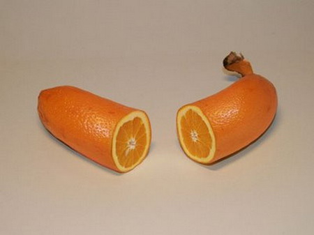 Funny Fruit Photo