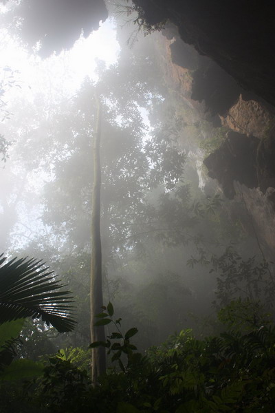 ถ้ำที่ใหญ่ที่สุดในโลก ถ้ำ Son Doong ที่เวียดนาม